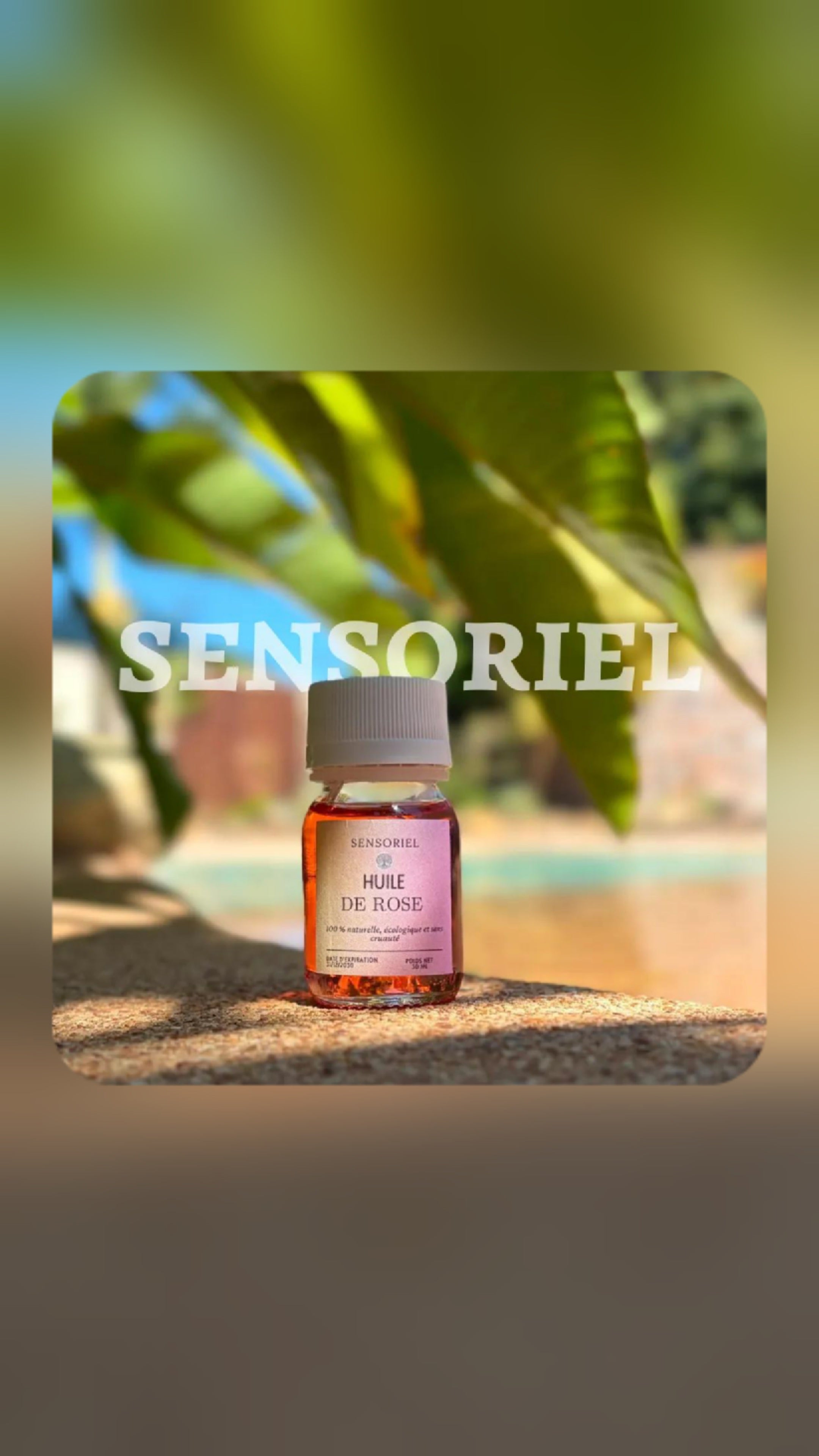HUILE DE ROSE - Flacon 30ml.